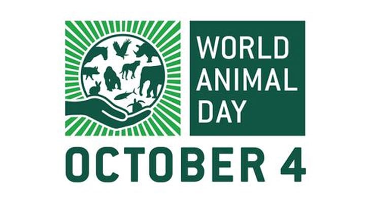 World Animal Day